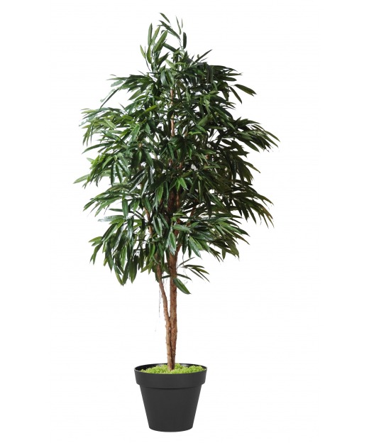 Ficus artificiel alii