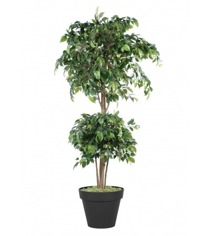 Ficus artificiel banian