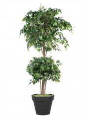 Ficus artificiel banian