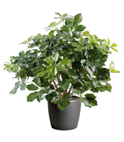 Schefflera artificiel buisson