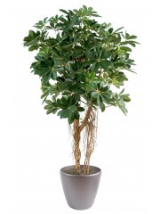 Schefflera parapluie artificiel