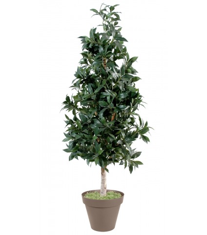 Laurier artificiel pyramide luxe 