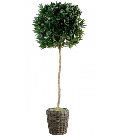 Laurier-sauce artificiel sur tige