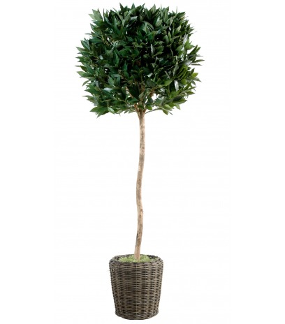 Laurier-sauce artificiel sur tige