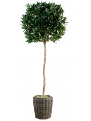 Laurier-sauce artificiel sur tige