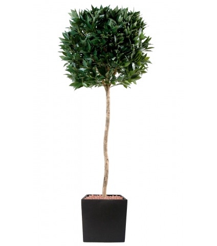 Laurier artificiel anti UV