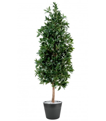 Laurier artificiel pyramide