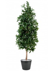 Laurier artificiel pyramide