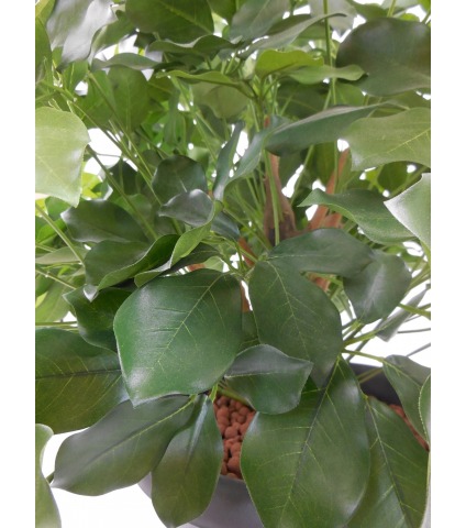 Schefflera artificiel buisson
