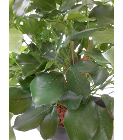 Schefflera artificiel buisson