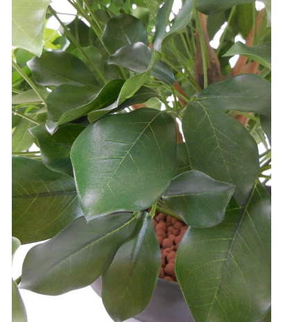 Schefflera artificiel buisson