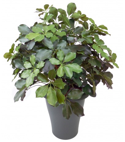 Schefflera artificiel buisson