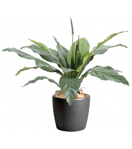 Fougère artificielle anthurium