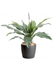 Fougère artificielle anthurium