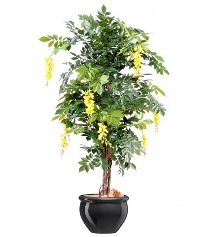 Glycine artificielle