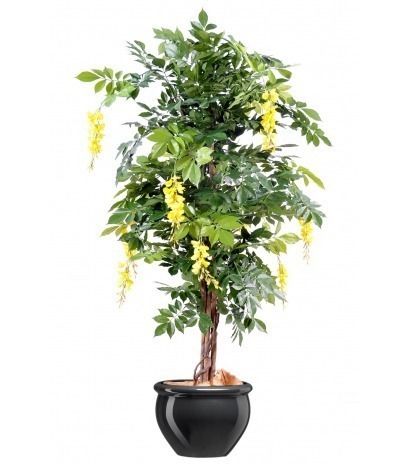 Glycine artificielle