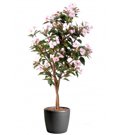 Impatiens artificielle de nouvelle guinée 