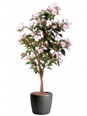 Impatiens artificielle de nouvelle guinée 