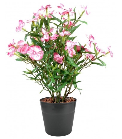 Dianthus artificiel
