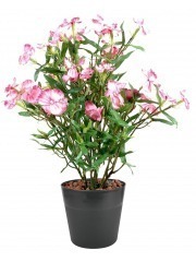 Dianthus artificiel