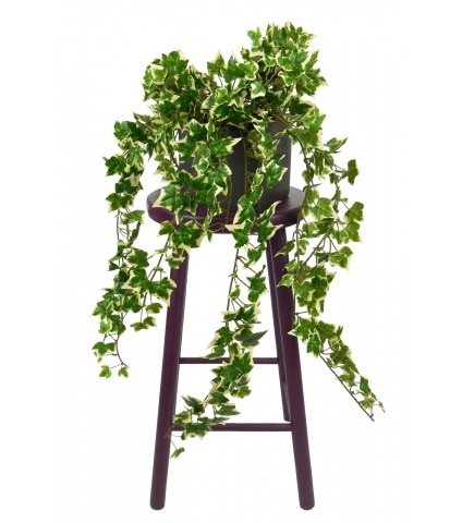 Lierre artificiel hedera