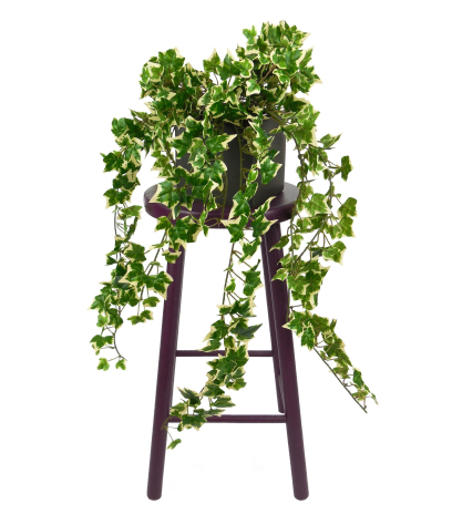 Lierre artificiel hedera