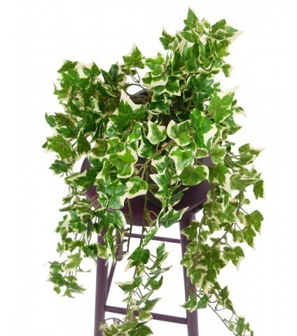 Lierre artificiel hedera