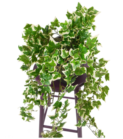 Lierre artificiel hedera