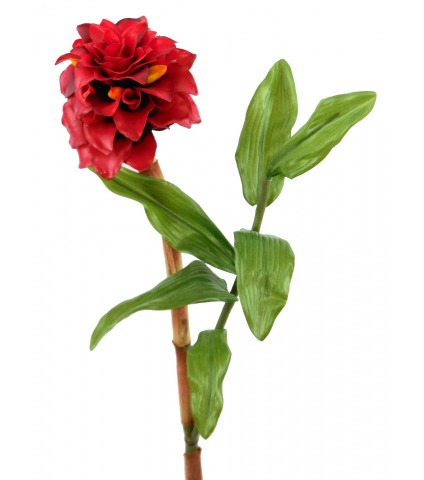 Branche de gingembre artificiel