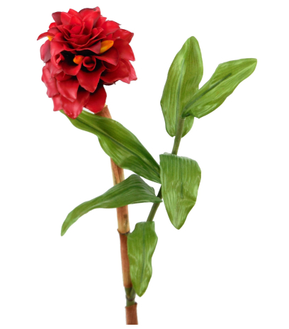 Branche de gingembre artificiel