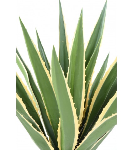 Agave furcraea artificiel panaché