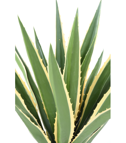 Agave furcraea artificiel panaché