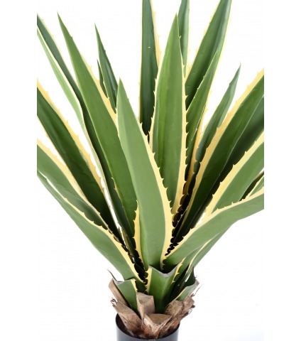 Agave furcraea artificiel panaché