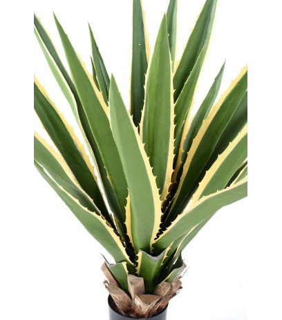 Agave furcraea artificiel panaché