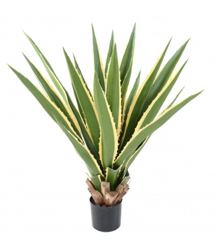 Agave furcraea artificiel panaché