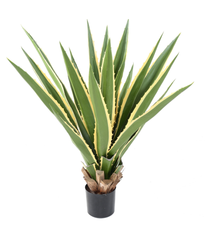 Agave furcraea artificiel panaché