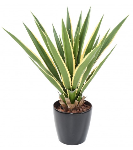 Agave furcraea artificiel panaché