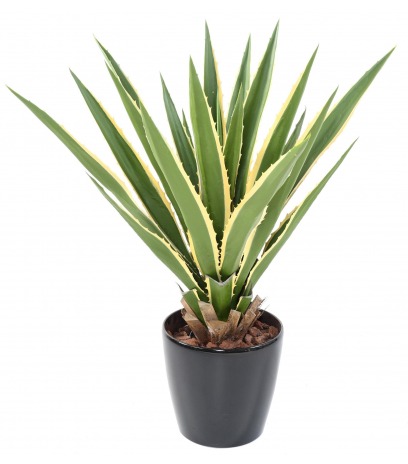 Agave furcraea artificiel panaché