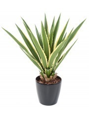 Agave furcraea artificiel panaché