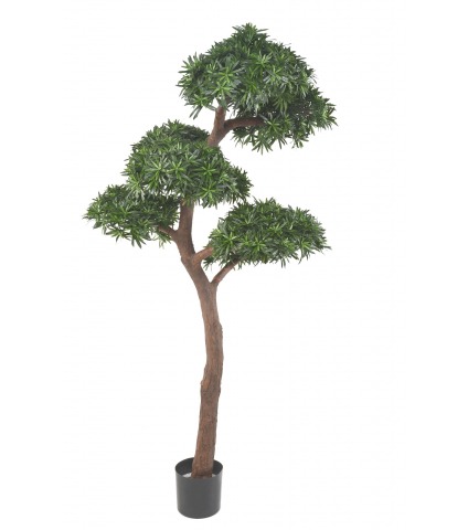 Podocarpus artificiel géant