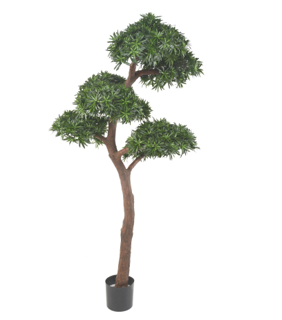 Podocarpus artificiel géant