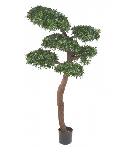 Podocarpus artificiel géant