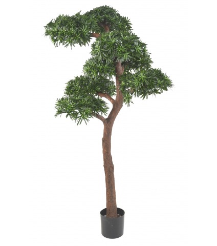 Podocarpus artificiel géant