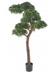 Podocarpus artificiel géant