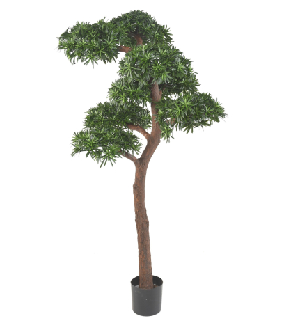 Podocarpus artificiel géant