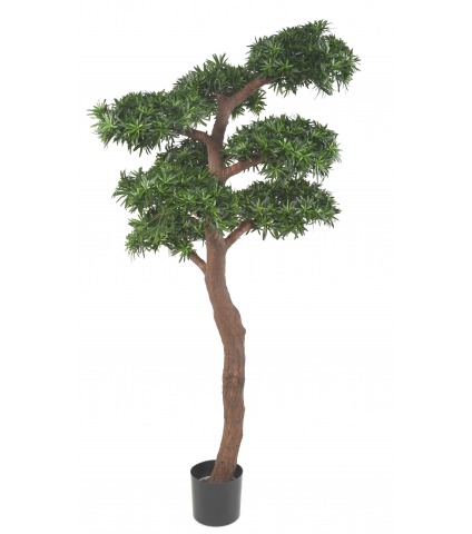 Podocarpus artificiel géant