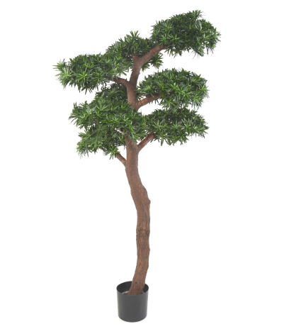 Podocarpus artificiel géant