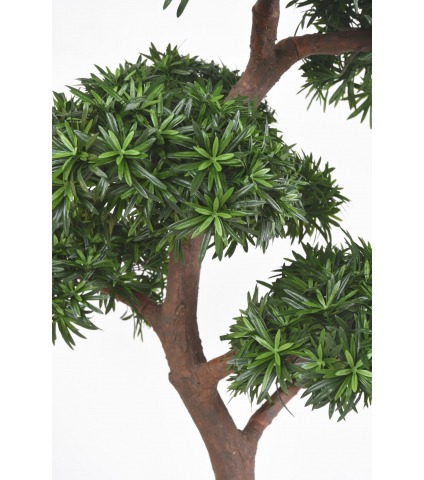 Podocarpus artificiel géant
