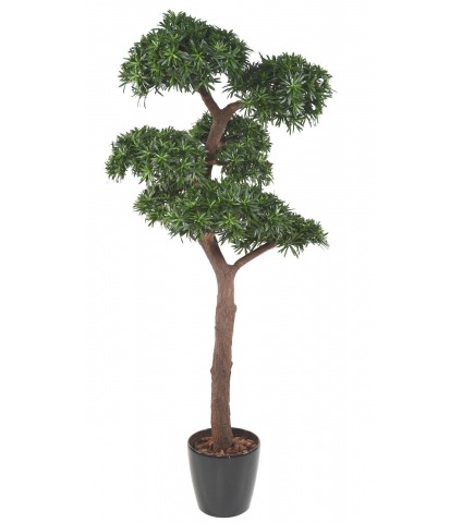 Podocarpus artificiel géant