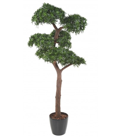 Podocarpus artificiel géant
